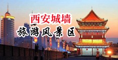 啊啊啊啊大鸡吧免费视频蜜臀中国陕西-西安城墙旅游风景区
